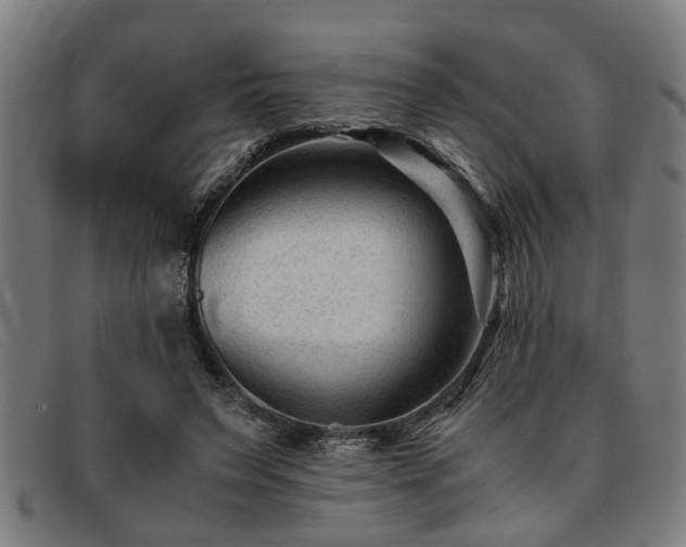 X0000091880495200709121416