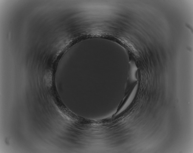 X0000091880496200709121416