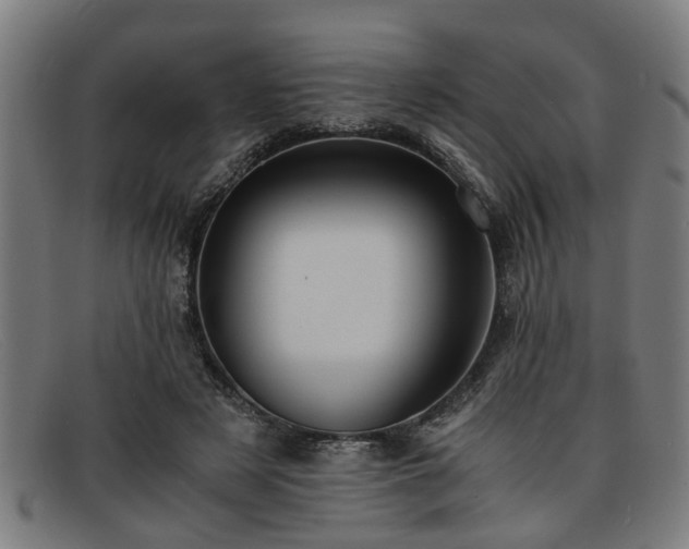 X0000091880497200709121416