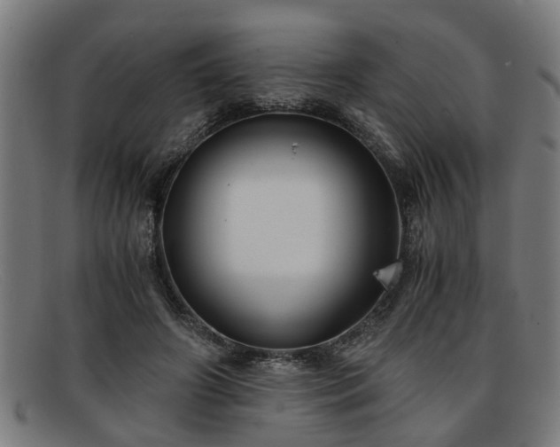 X0000091880498200709121416