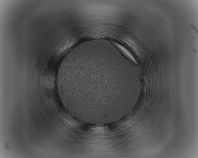 X0000091880499200709121416