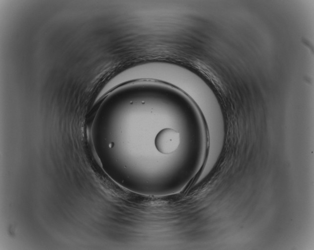 X0000091880501200709121416