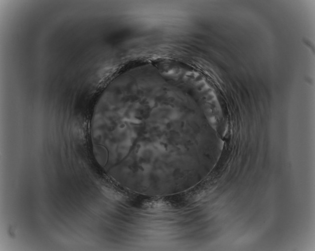 X0000091880503200709121416