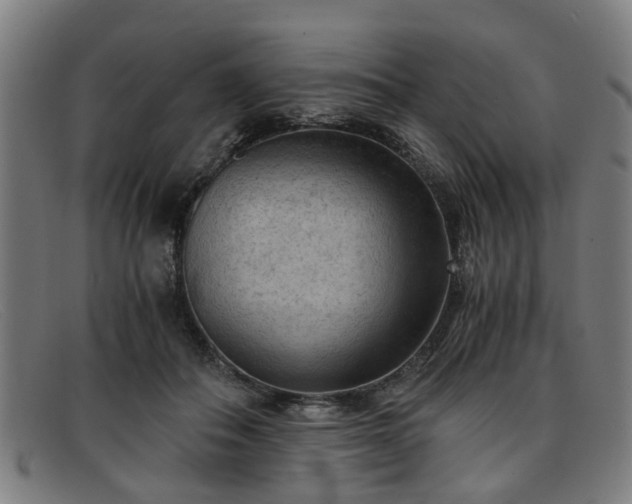 X0000091880506200709121416