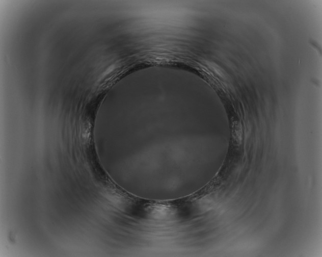 X0000091880507200709121416