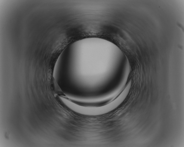 X0000091880509200709121416