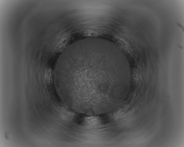 X0000091880511200709121416