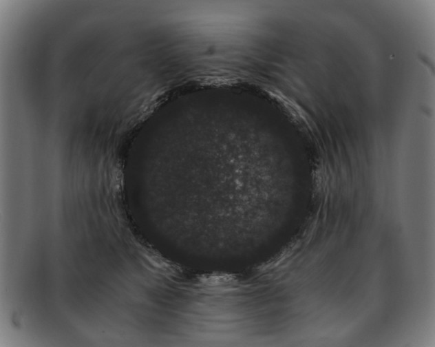 X0000091880517200709121416