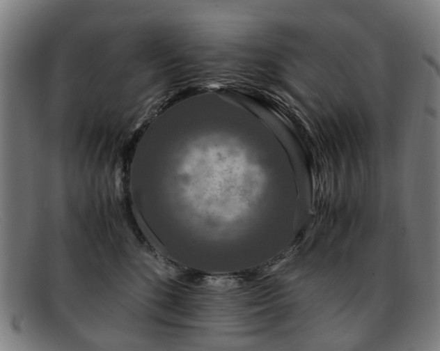 X0000091880520200709121416