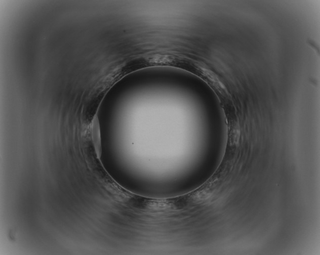 X0000091880521200709121416