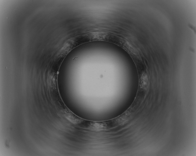 X0000091880522200709121416