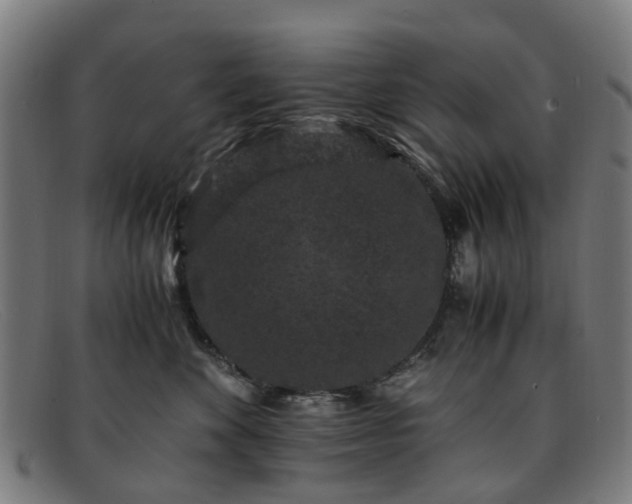 X0000091880524200709121416