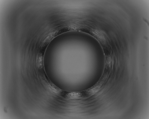 X0000091880526200709121416