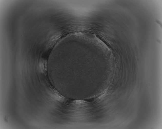 X0000091880528200709121416