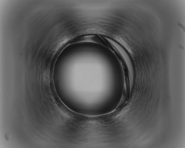 X0000091880530200709121415