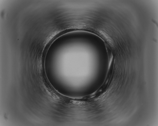 X0000091880532200709121415