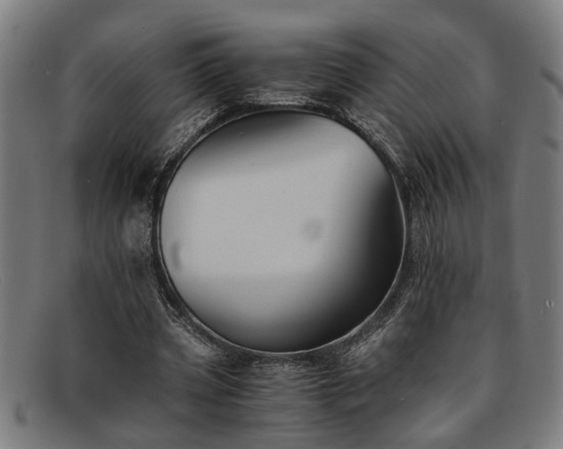 X0000091880533200709121415