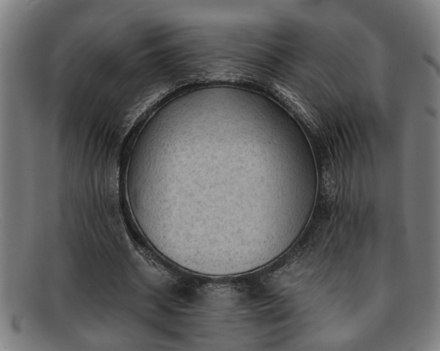 X0000091880534200709121415