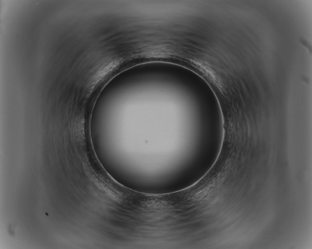 X0000091880535200709121415