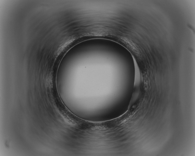 X0000091880536200709121415