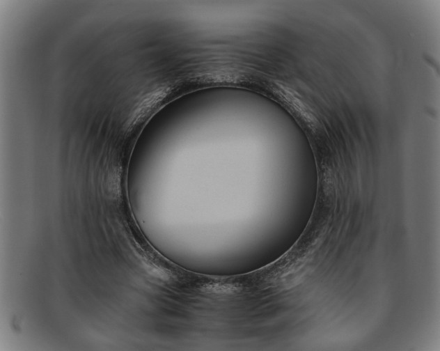 X0000091880537200709121415