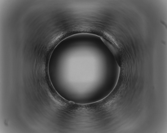 X0000091880538200709121415