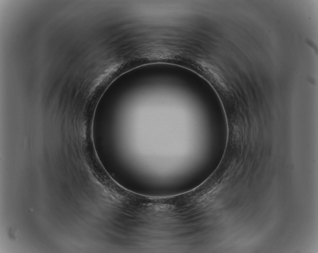 X0000091880539200709121415