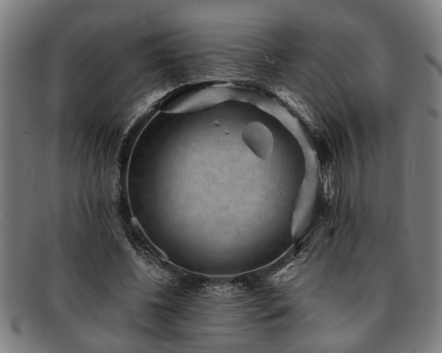 X0000091880540200709121415