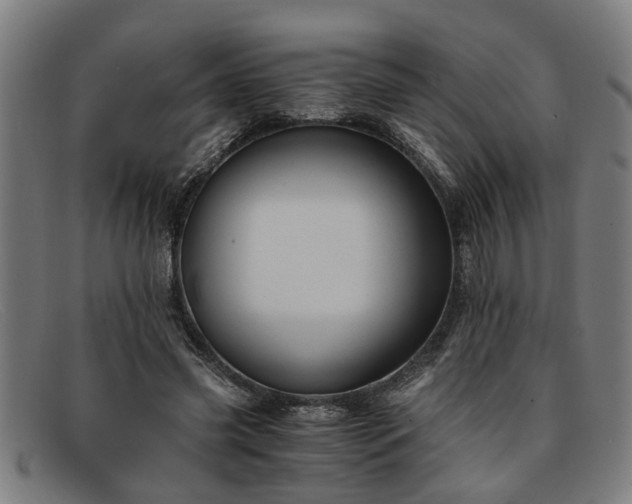 X0000091880541200709121415