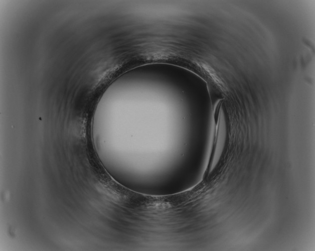 X0000091880543200709121415