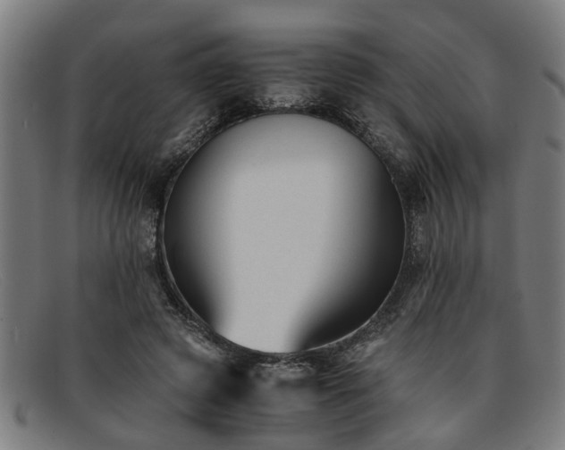 X0000091880545200709121415