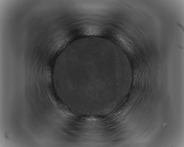 X0000091880547200709121415