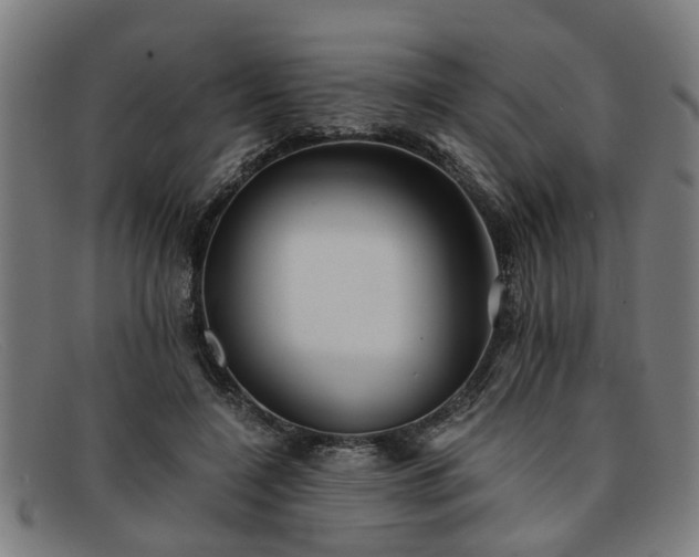 X0000091880548200709121415