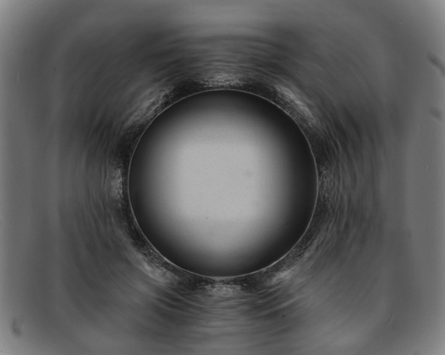 X0000091880549200709121415