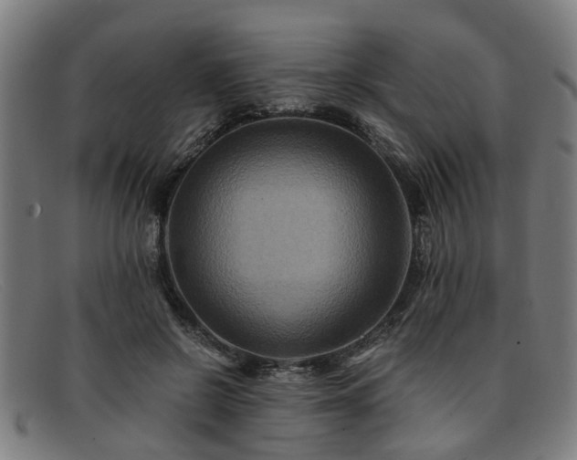 X0000091880550200709121415