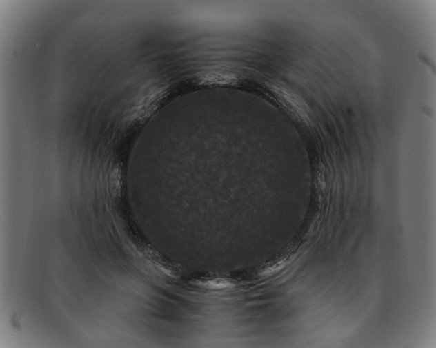 X0000091880551200709121415