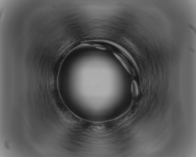 X0000091880552200709121415