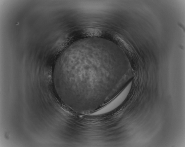 X0000091880553200709121415