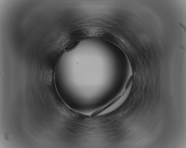 X0000091880554200709121415