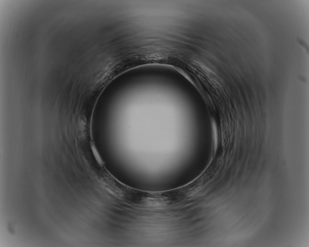 X0000091880556200709121415