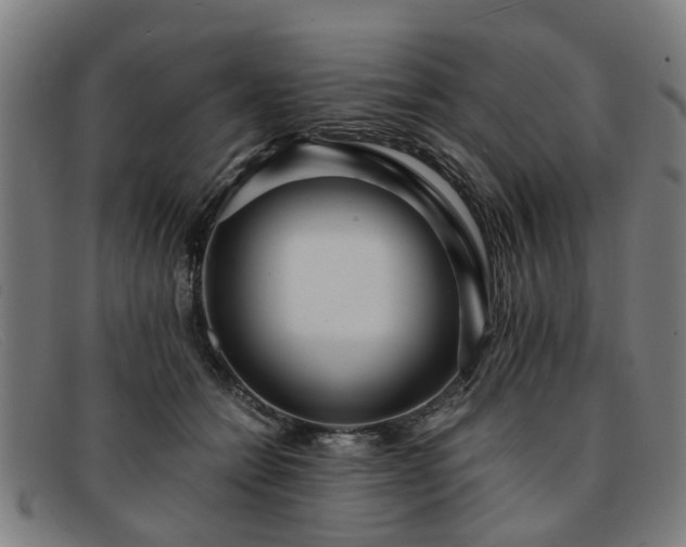 X0000091880558200709121415