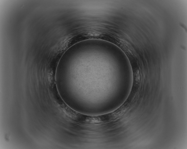 X0000091880559200709121415