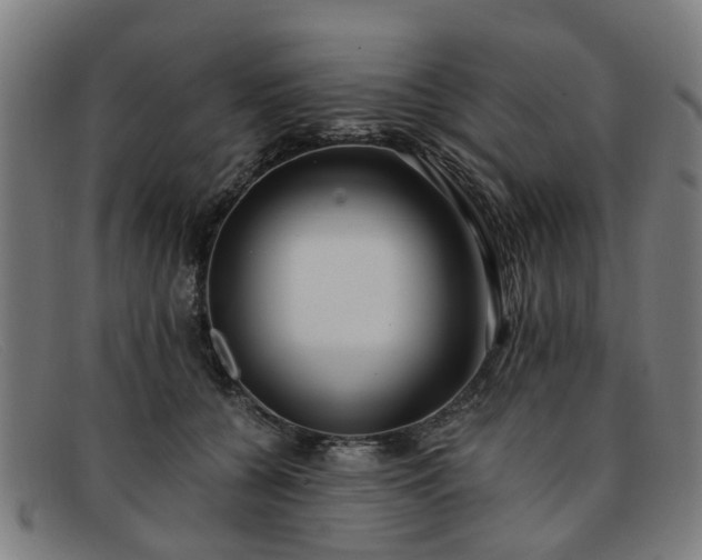 X0000091880560200709121415