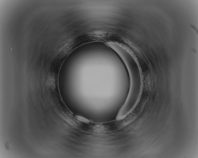 X0000091880562200709121415