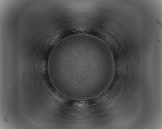 X0000091880563200709121415