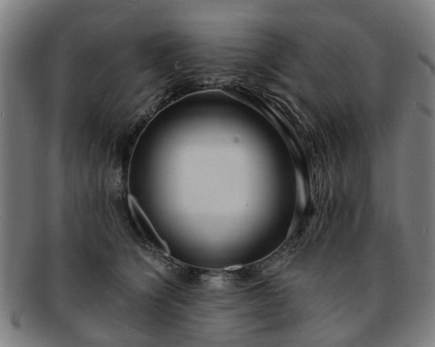 X0000091880564200709121415