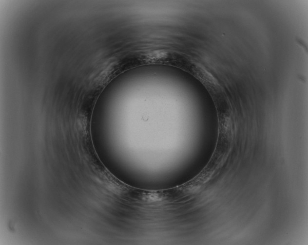 X0000091880565200709121415