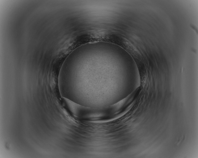 X0000091880566200709121415