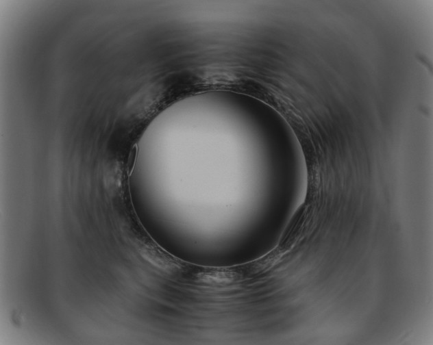 X0000091880567200709121415