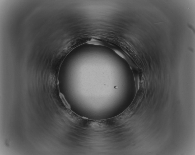 X0000091880568200709121415